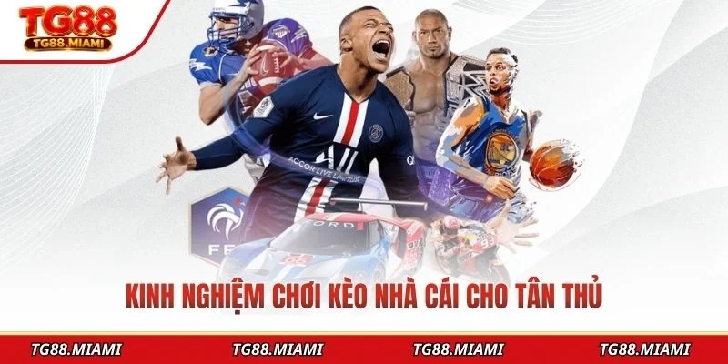 Kinh nghiệm chơi kèo nhà cái cho tân thủ