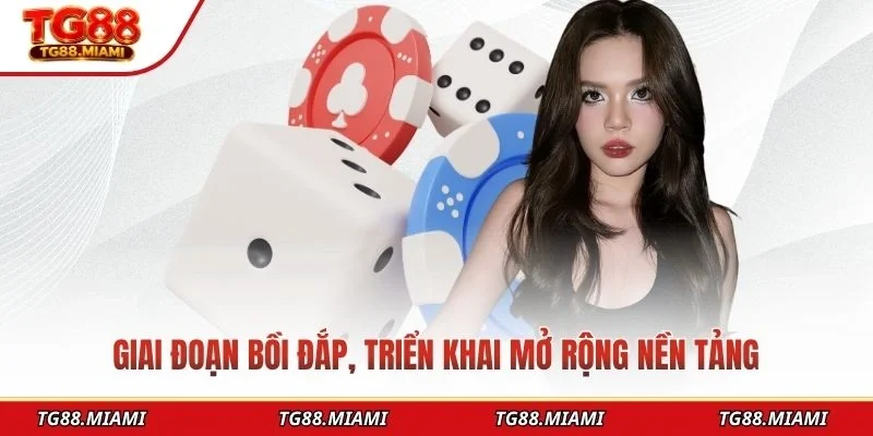 Giai đoạn bồi đắp, triển khai mở rộng nền tảng
